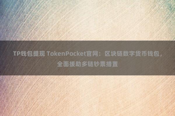 TP钱包提现 TokenPocket官网：区块链数字货币钱包，全面援助多链钞票措置