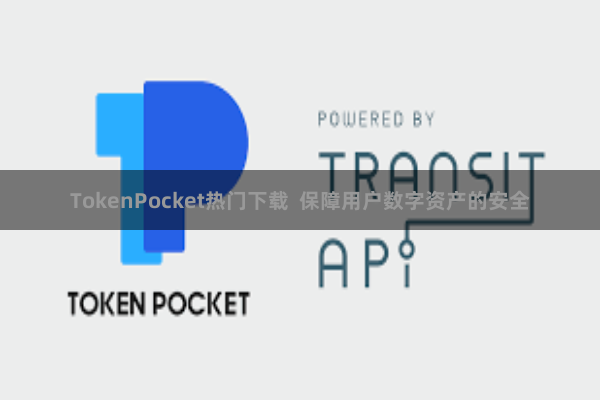 TokenPocket热门下载  保障用户数字资产的安全
