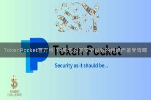 TokenPocket官方版  TP钱包以其安全高效的特点而备受青睐
